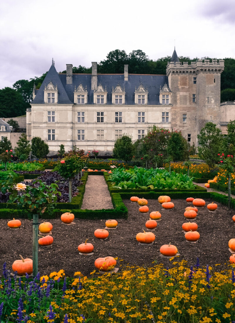 Château de Villandry - 7 Most Beautiful Castles in France to Visit