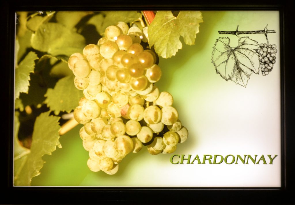 A picture of Chardonnay grapes