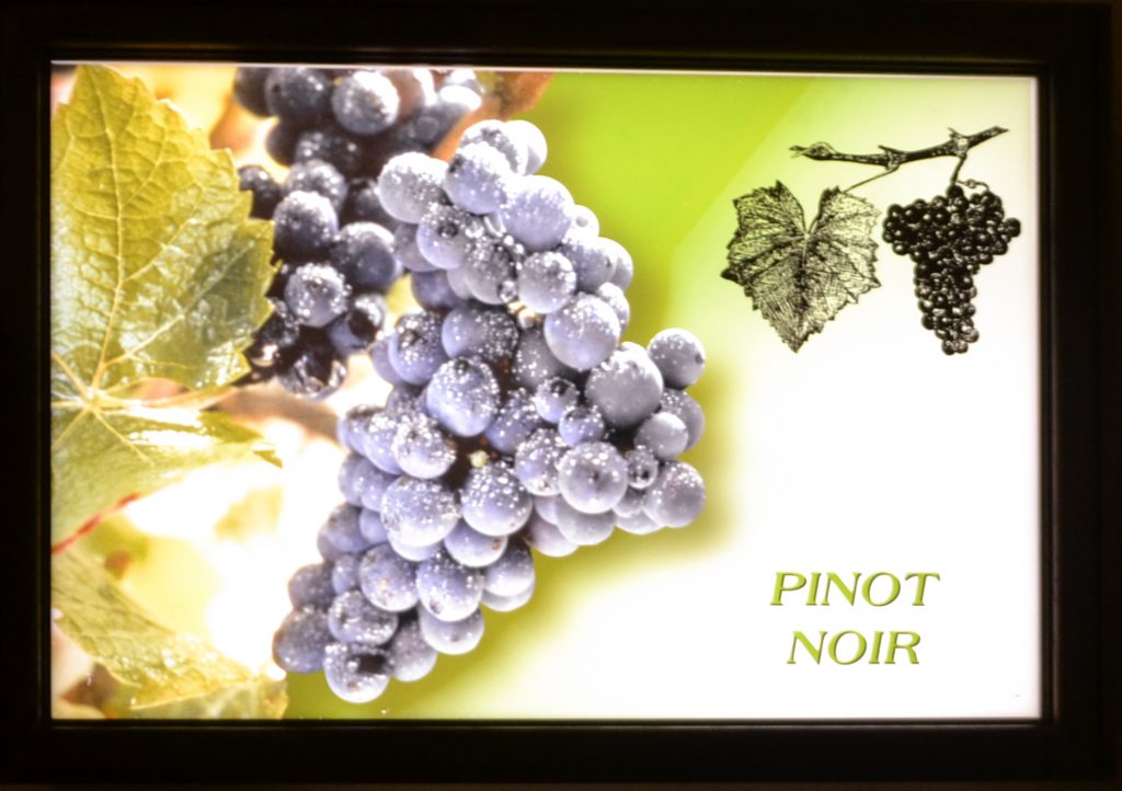 A picture of Pinot Noir grapes
