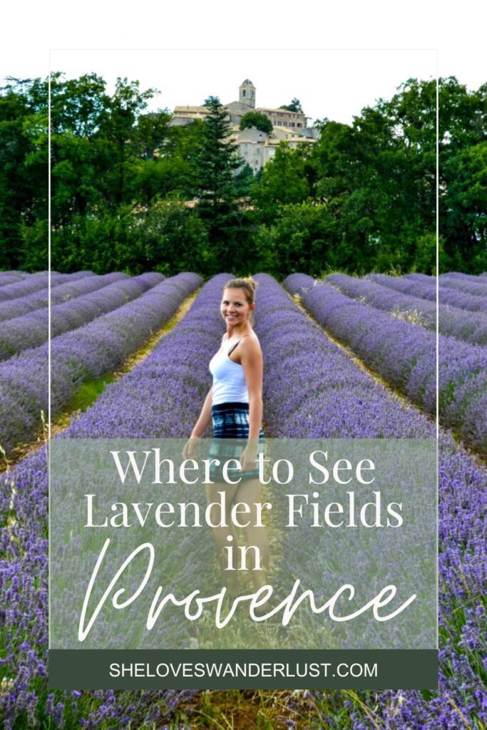 A girl in Lavender Fields in Provence Pin